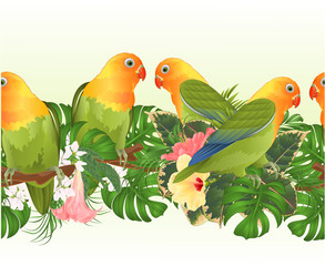 Tropical border seamless background Parrots Agapornis lovebird tropical birds  standing on a branch and Brugmansia with pink and yellow hibiscus  on a white background vector illustration 