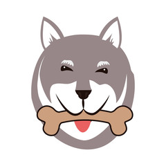 cute akita dog with bone