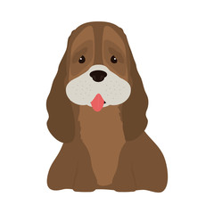 cute spaniel dog pet