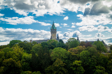 Burgturm ragt aus Wald