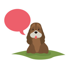 cute spaniel dog with speech bubble