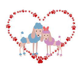 cute french poodles couple in heart paws