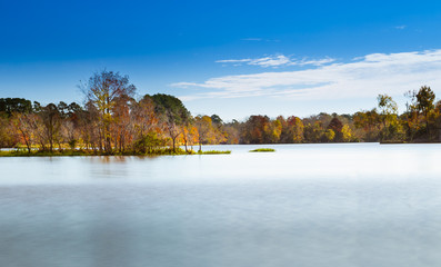 Fall trees on the lake
