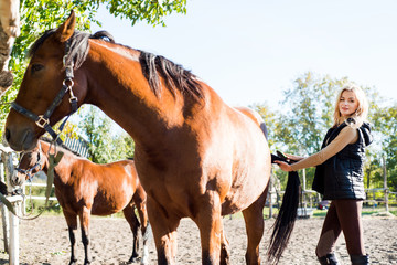 Girl equestrian rider equips horse. Horse theme