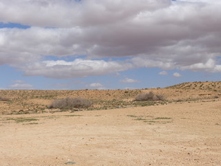 Fototapeta na wymiar desert and blue sky