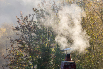 Plakat Smoke raising from a chimney in winter forest background