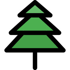 Evergreen spruce tree
