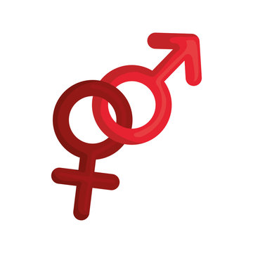 genders male and female symbols