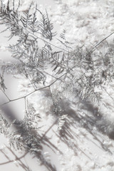 Closeup picture of a beautiful silver frozen branch