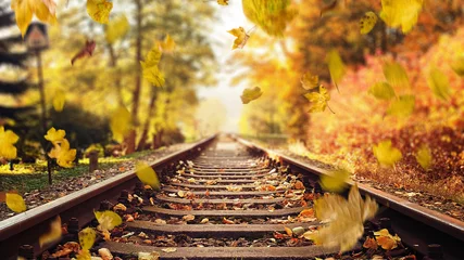 Fototapeten Colorful autumn leaves falling down on railway tracks © konradbak
