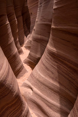 Striped sandstone in Zebra slot canyon, Harris Wash, Grand Staircase Escalante NM, Utah