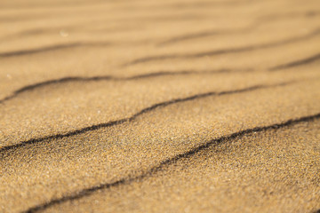 Closeup of a texture of sand dunes in the desert