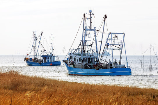 Flotte der Krabbenkutter an der Nordseeküste auf dem Weg zum Krabbenfang, Küstenfischerei von Granat in Norddeutschland 