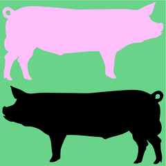 boar pig vector silhouette isolated