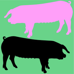 big vector silhouette isolated