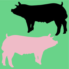 boar pig vector silhouette isolated