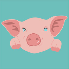 cute pig face vector silhouette