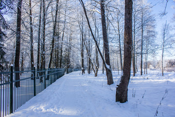Winter landscape in clear weather. Morning bright sun. Snow plays shine. Frosty Snow Park