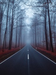 Fototapeta premium Foggy Highway