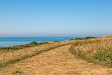 Fototapeta na wymiar A Coastal Pathway on the South Coast, on a Sunny Summers Day