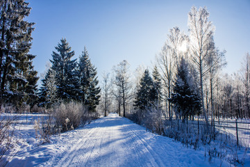 Winter landscape in clear weather. Morning bright sun. Snow plays shine. Frosty Snow Park