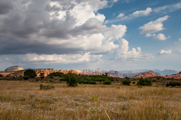 Fototapeta premium Zion national park