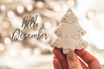 Hello December. Female hands holding cookie shaped Christmas tree. Christmas mood. Concept of winter greeting
