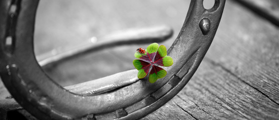 Hufeisen bringt Glück!