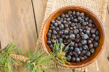 juniper berries in a bowl with a sprig