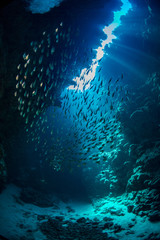 Morze czerwone Dahab © Wojciech