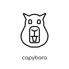 Capybara icon. Trendy modern flat linear vector Capybara icon on white background from thin line animals collection