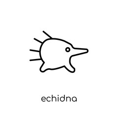 Echidna icon. Trendy modern flat linear vector Echidna icon on white background from thin line animals collection