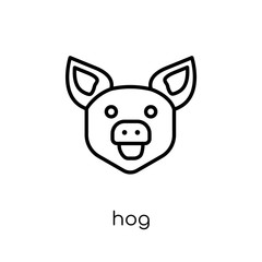 Hog icon. Trendy modern flat linear vector Hog icon on white background from thin line animals collection