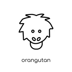 Orangutan icon. Trendy modern flat linear vector Orangutan icon on white background from thin line animals collection