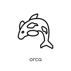 Orca icon. Trendy modern flat linear vector Orca icon on white background from thin line animals collection