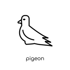 Pigeon icon. Trendy modern flat linear vector Pigeon icon on white background from thin line animals collection