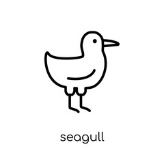 Fototapeta na wymiar Seagull icon. Trendy modern flat linear vector Seagull icon on white background from thin line animals collection