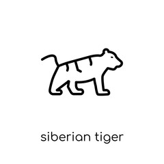 Siberian tiger icon. Trendy modern flat linear vector Siberian tiger icon on white background from thin line animals collection