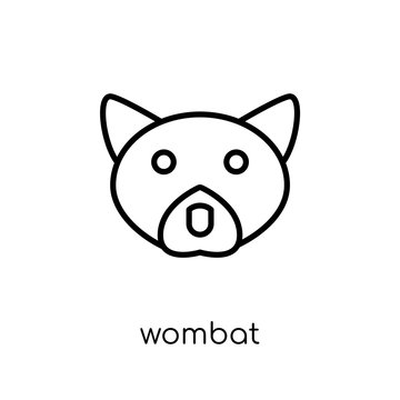 Wombat icon. Trendy modern flat linear vector Wombat icon on white background from thin line animals collection