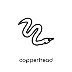 Fototapeta premium copperhead icon. Trendy modern flat linear vector copperhead icon on white background from thin line animals collection