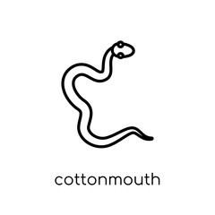 Obraz premium cottonmouth icon. Trendy modern flat linear vector cottonmouth icon on white background from thin line animals collection
