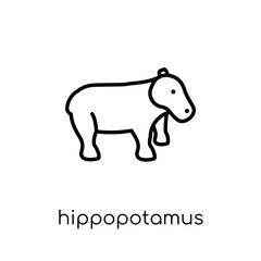 Hippopotamus icon. Trendy modern flat linear vector Hippopotamus icon on white background from thin line animals collection