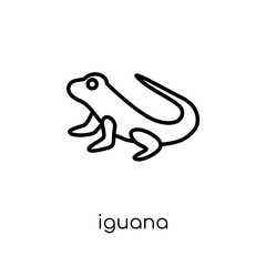 iguana icon. Trendy modern flat linear vector iguana icon on white background from thin line animals collection