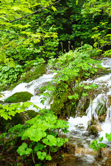 beautiful waterfalls with turquoise water in the Plitvice Lakes National Park. Croatia. Europe. Selective focus