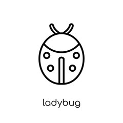 Ladybug icon. Trendy modern flat linear vector Ladybug icon on white background from thin line animals collection