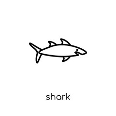 Shark icon. Trendy modern flat linear vector Shark icon on white background from thin line animals collection