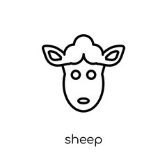 Sheep icon. Trendy modern flat linear vector Sheep icon on white background from thin line animals collection