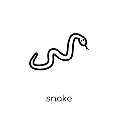 Snake icon. Trendy modern flat linear vector Snake icon on white background from thin line animals collection