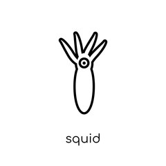 Squid icon. Trendy modern flat linear vector Squid icon on white background from thin line animals collection