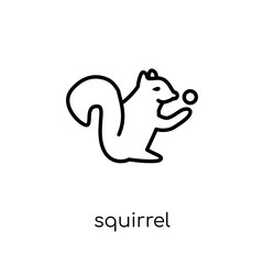 Squirrel icon. Trendy modern flat linear vector Squirrel icon on white background from thin line animals collection